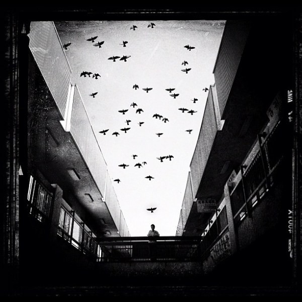 Top 10 iPhone Photographers: Masters by Style and Genre