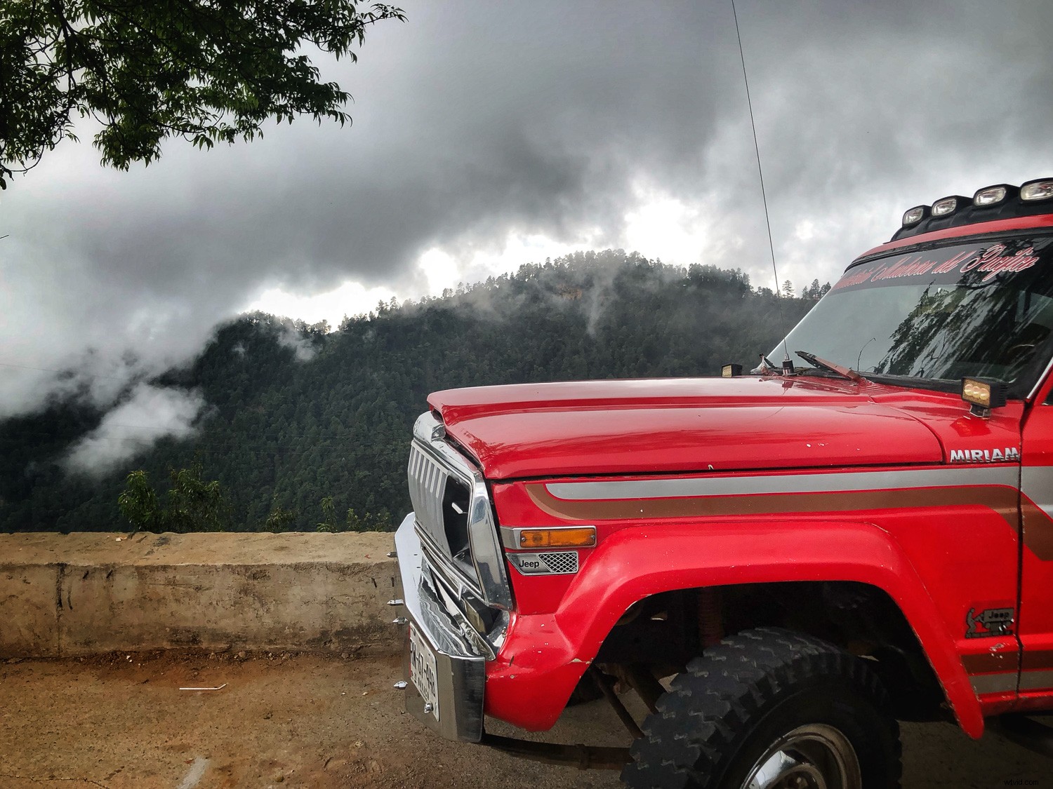 iPhone Photography Tips: Capture Stunning Photos Like a Pro