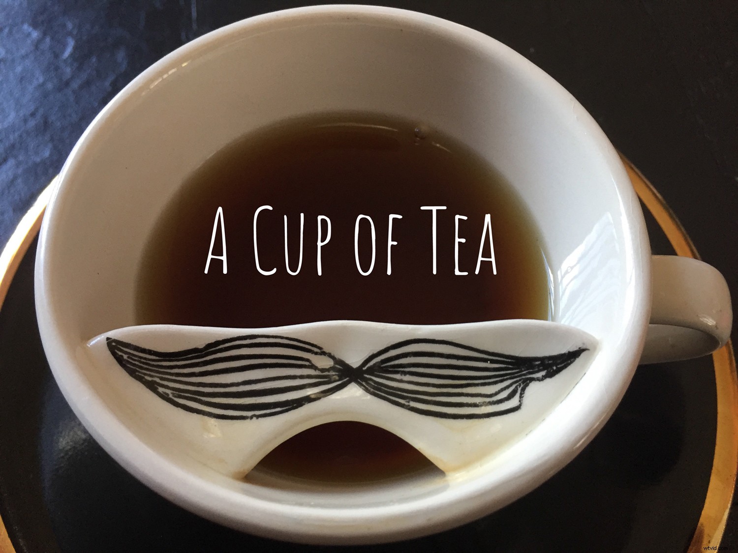 Top 3 Smartphone Photography Apps for Android & iOS: Pro Shots on the Go