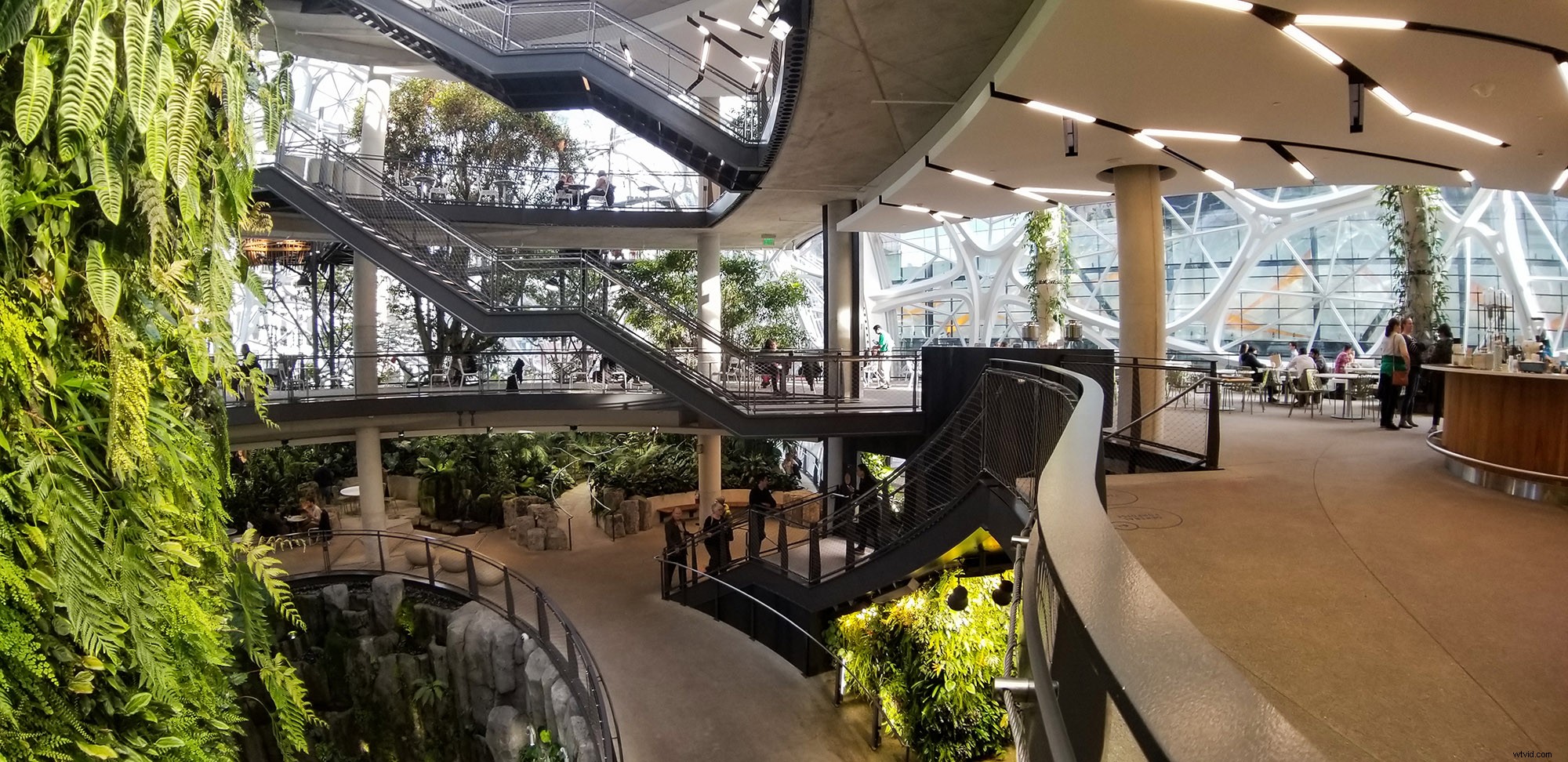 Moment Lenses Review: Elevate Smartphone Photography & Videography