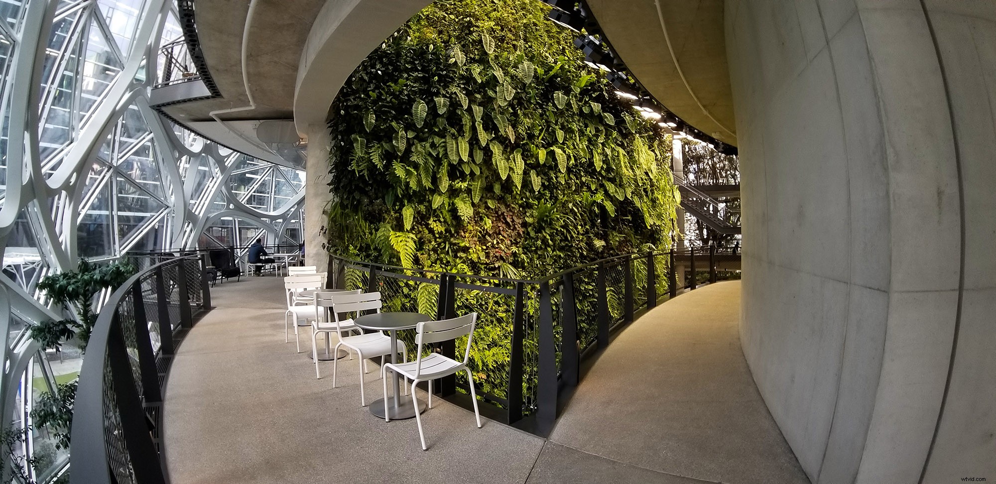 Moment Lenses Review: Elevate Smartphone Photography & Videography