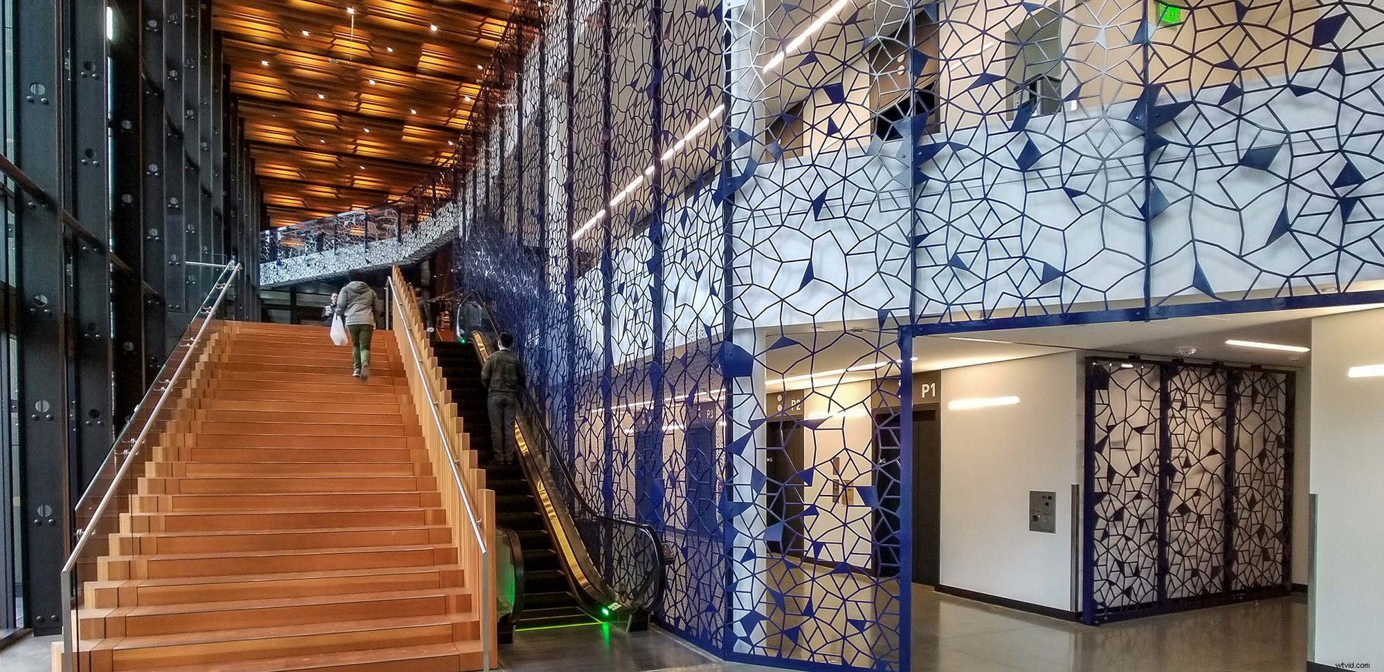 Moment Lenses Review: Elevate Smartphone Photography & Videography