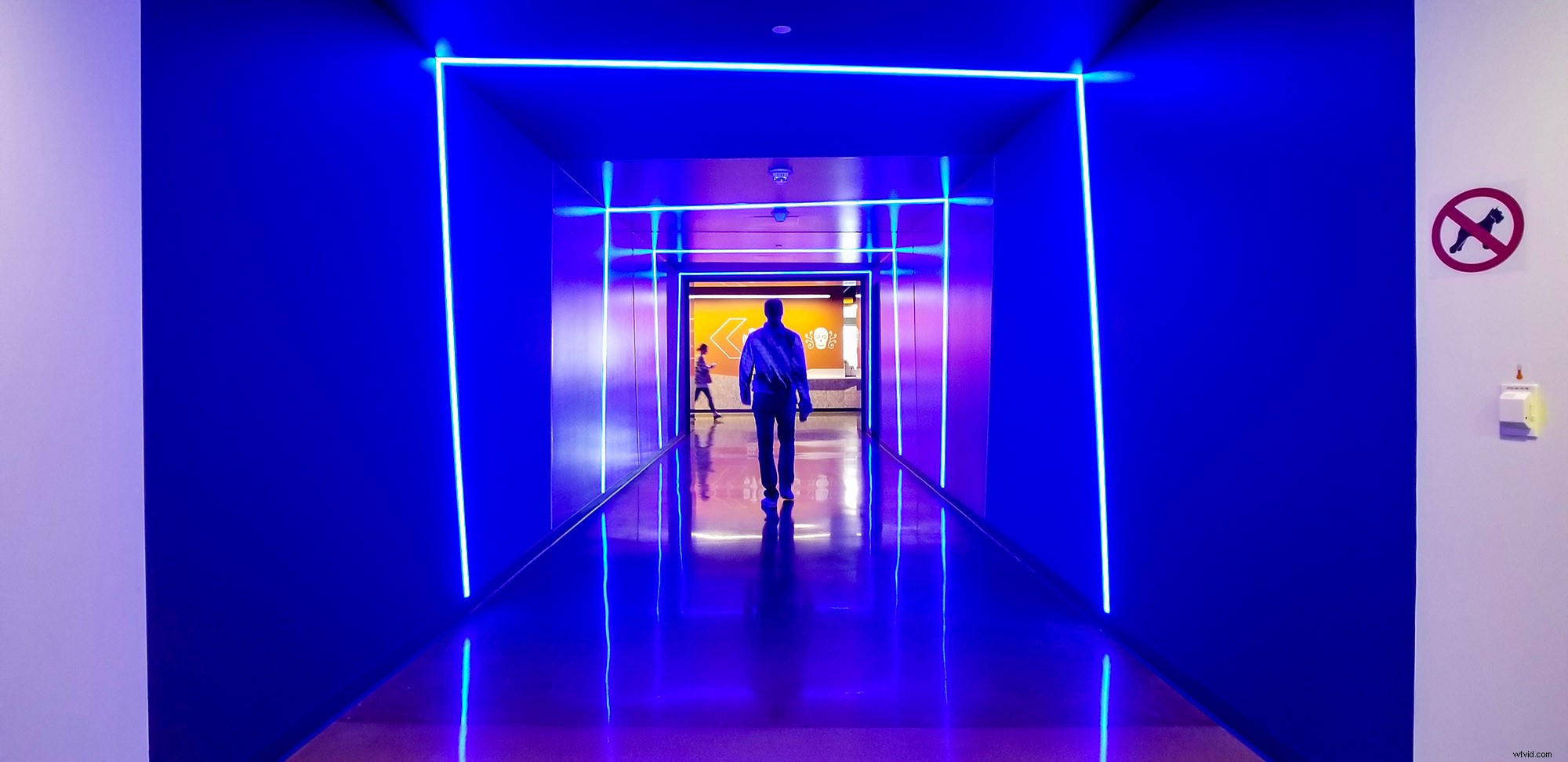 Moment Lenses Review: Elevate Smartphone Photography & Videography