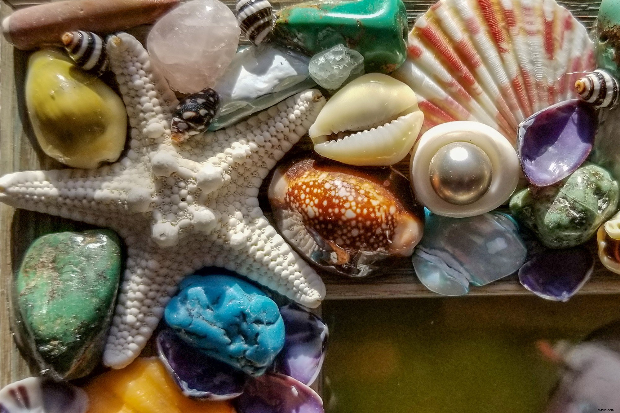 Moment Lenses Review: Elevate Smartphone Photography & Videography