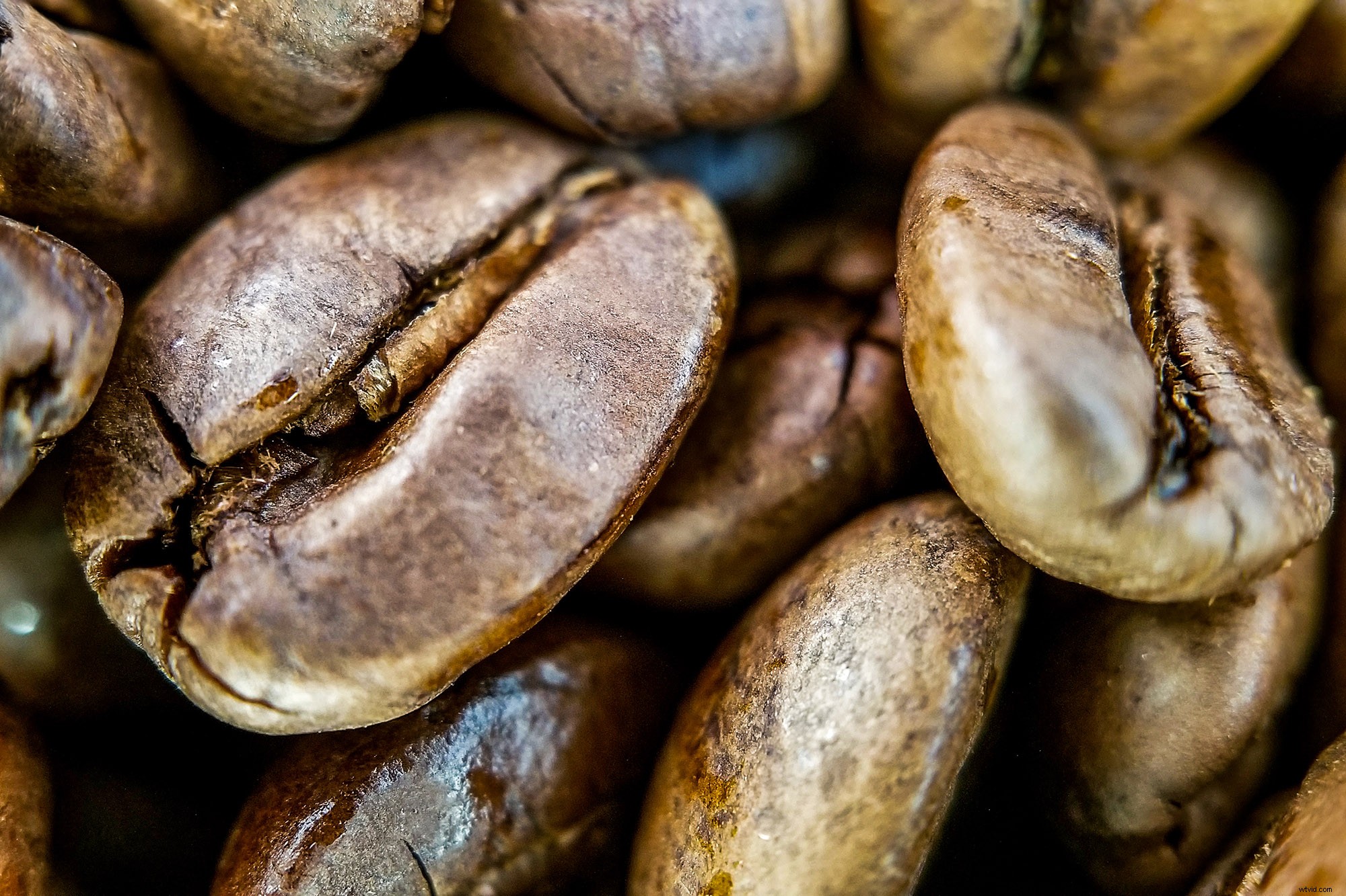 Moment Lenses Review: Elevate Smartphone Photography & Videography