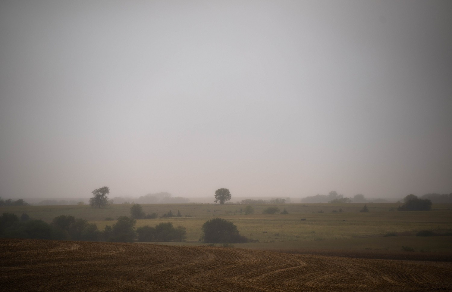 Why DSLRs Outshine Smartphone Cameras: Timeless Advantages That Endure