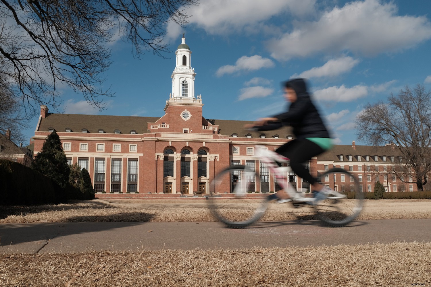 Why DSLRs Outshine Smartphone Cameras: Timeless Advantages That Endure