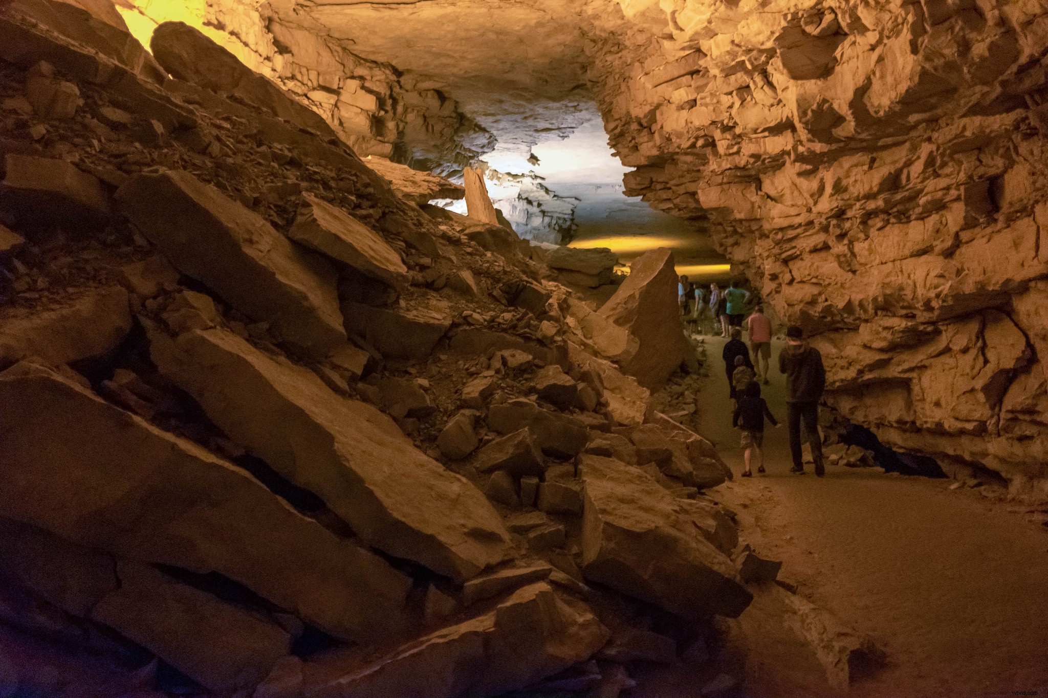 Why DSLRs Outshine Smartphone Cameras: Timeless Advantages That Endure