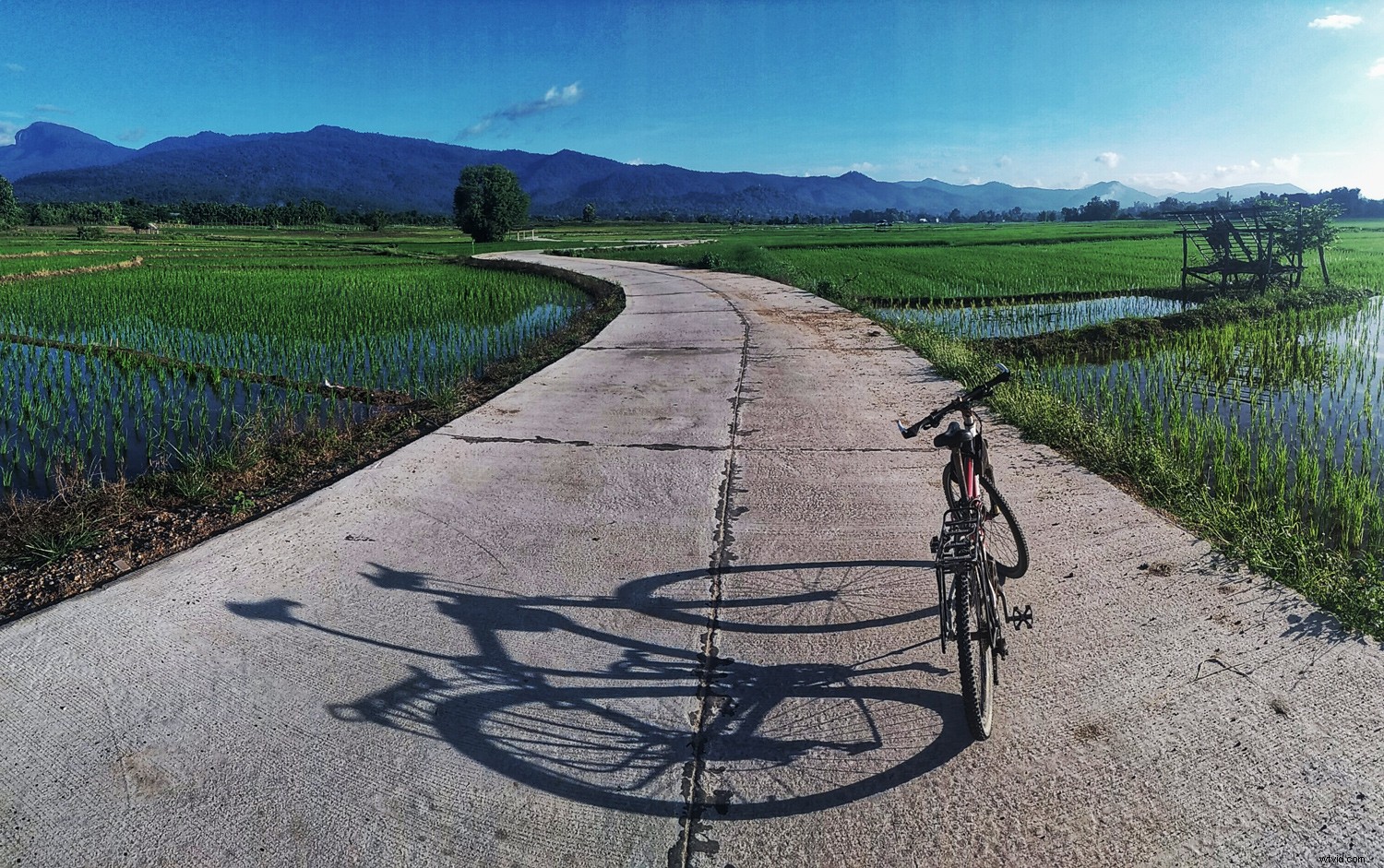 Pros and Cons: Upgrading from Smartphone to Dedicated Camera