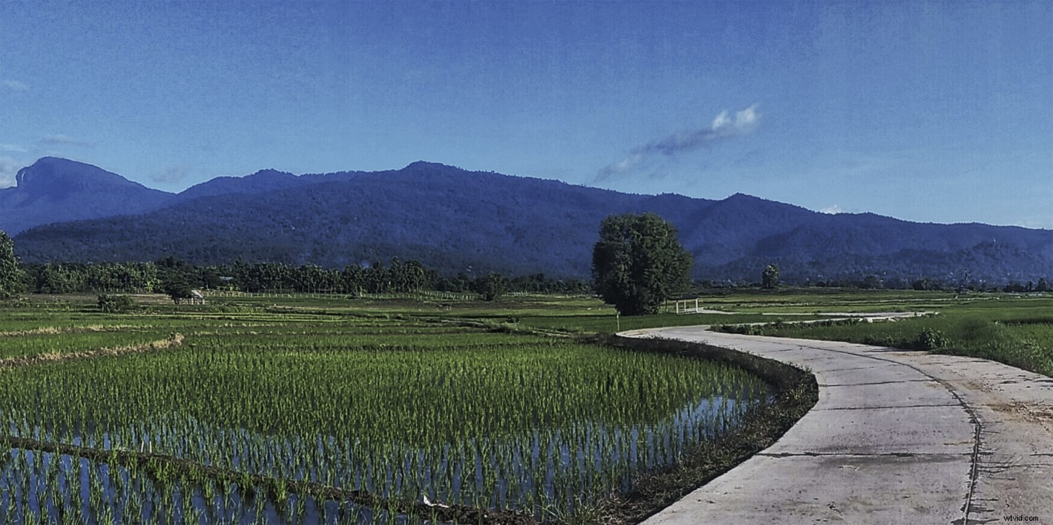 Pros and Cons: Upgrading from Smartphone to Dedicated Camera