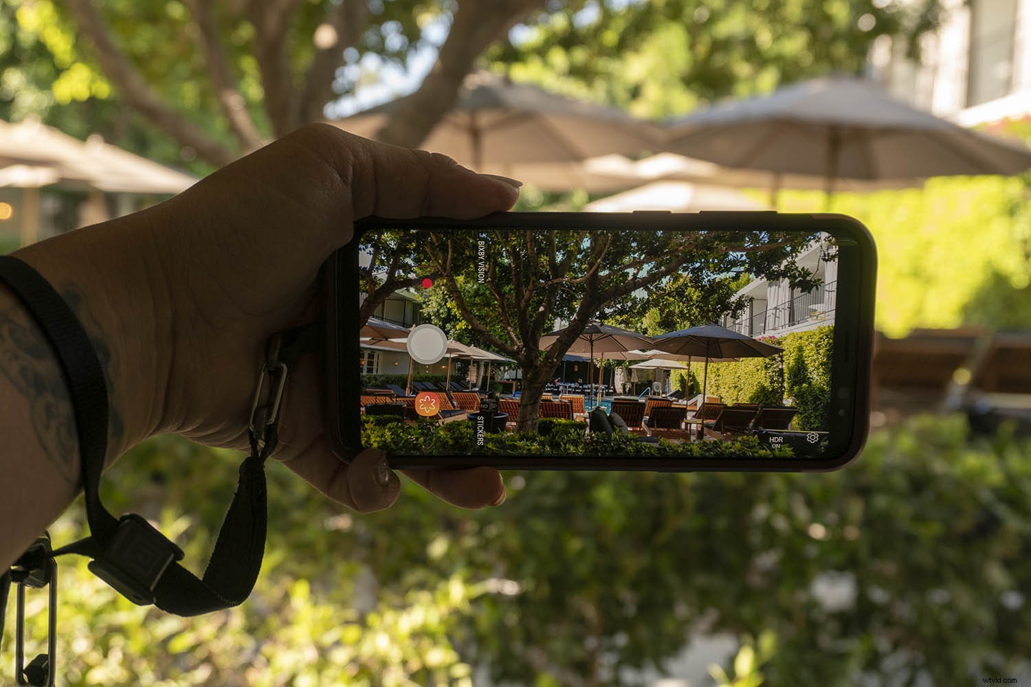 Essential Equipment Guide: Elevate Your Smartphone Videos to Pro Level