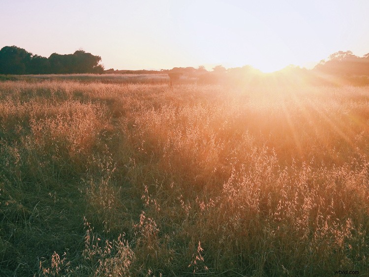 9 Must-Have Apps to Elevate Your Android and iPhone Experience