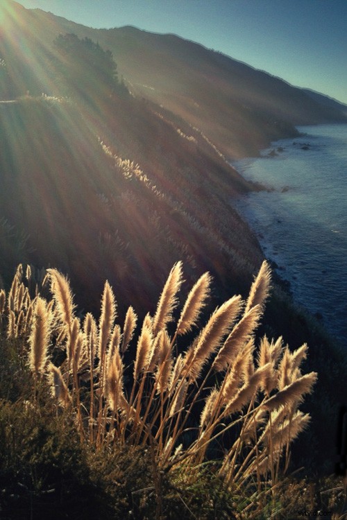 Top 9 Apps for Stunning Smartphone Photography: Pro Tips & Tools