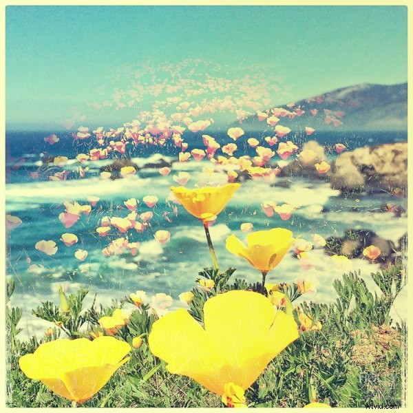 Top 9 Apps for Stunning Smartphone Photography: Pro Tips & Tools