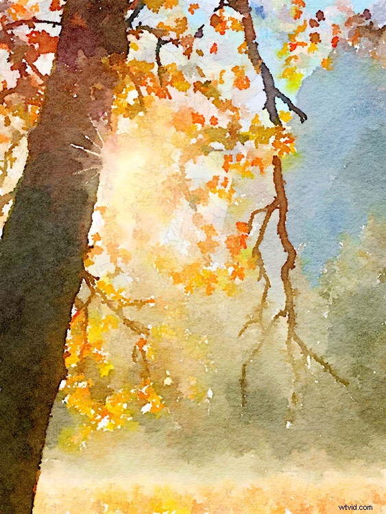 Top 9 Apps for Stunning Smartphone Photography: Pro Tips & Tools