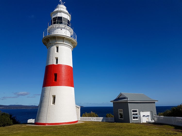 Struman Lenses Review: Elevate Your Smartphone Photography