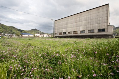 5 Expert Techniques to Master Contrast in Digital Photos