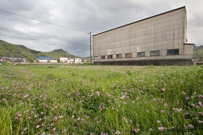 5 Expert Techniques to Master Contrast in Digital Photos