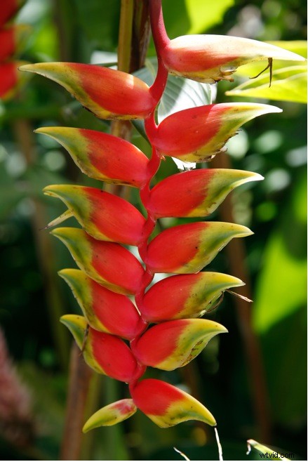 Master Midday Sun Photography: Expert Tips for Stunning Shots