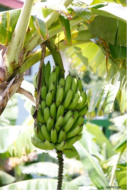 Master Midday Sun Photography: Expert Tips for Stunning Shots