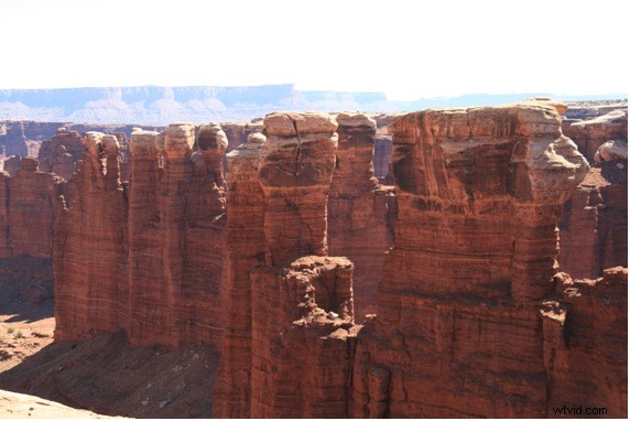 Master Midday Sun Photography: Expert Tips for Stunning Shots