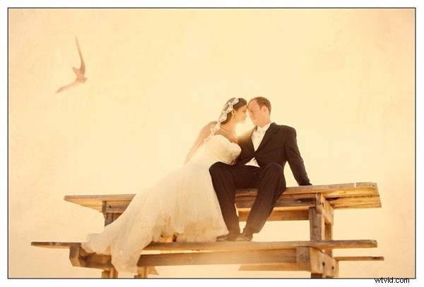 6 Expert Tips to Build a Thriving Photography Network and Elevate Your Skills