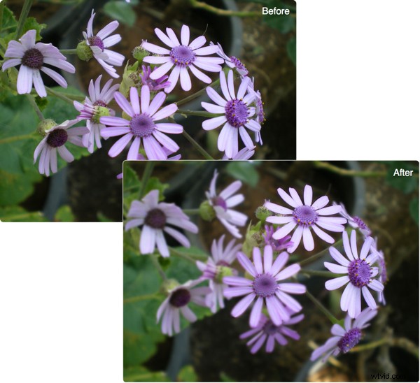 Master Depth of Field in Photoshop: 7-Step Post-Production Guide