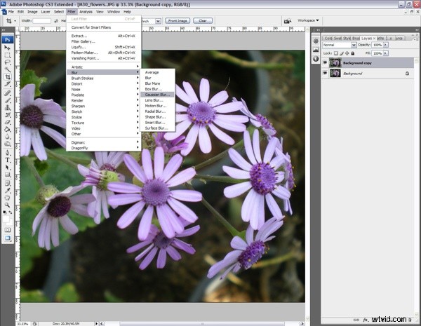 Master Depth of Field in Photoshop: 7-Step Post-Production Guide