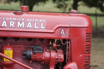 Achieve the Iconic Lomo Look: Transform Digital Photos Effortlessly