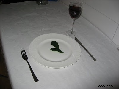 Leaf Diet: Mastering High-Key Photography – A Pro Case Study