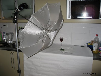 Leaf Diet: Mastering High-Key Photography – A Pro Case Study