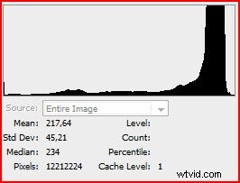 Leaf Diet: Mastering High-Key Photography – A Pro Case Study