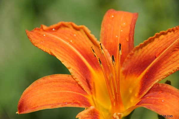 Mastering EV Compensation: Pro Tips from Yanik Chauvin of Image-Y