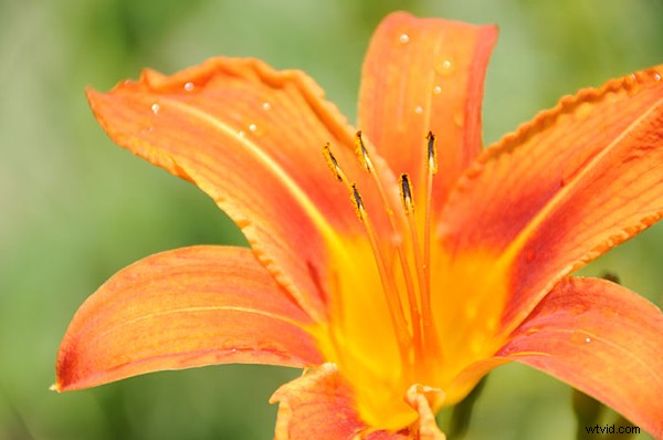 Mastering EV Compensation: Pro Tips from Yanik Chauvin of Image-Y