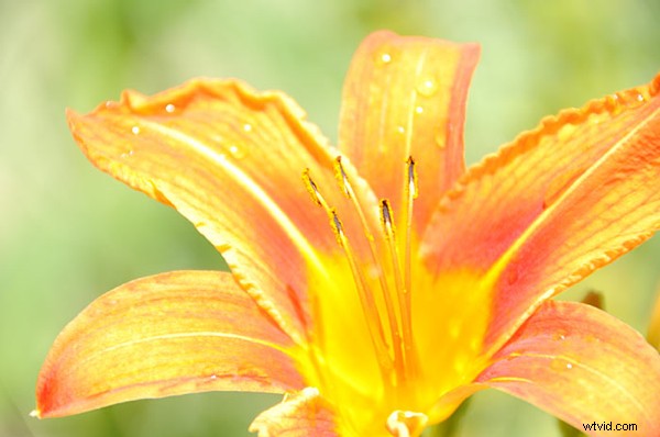 Mastering EV Compensation: Pro Tips from Yanik Chauvin of Image-Y