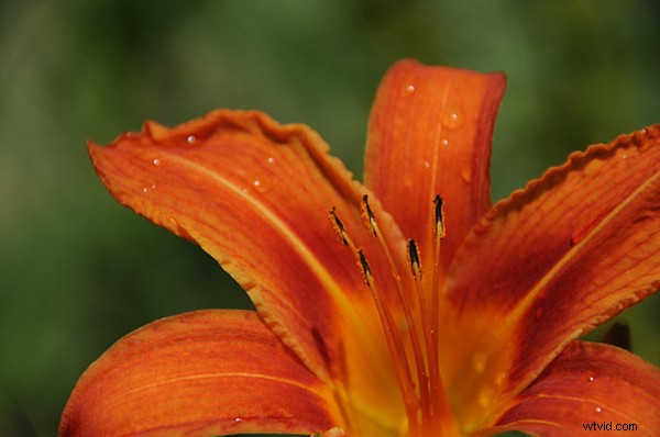 Mastering EV Compensation: Pro Tips from Yanik Chauvin of Image-Y