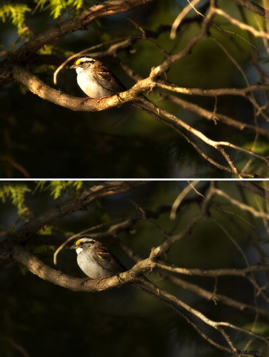 Mastering EV Compensation: Pro Tips from Yanik Chauvin of Image-Y