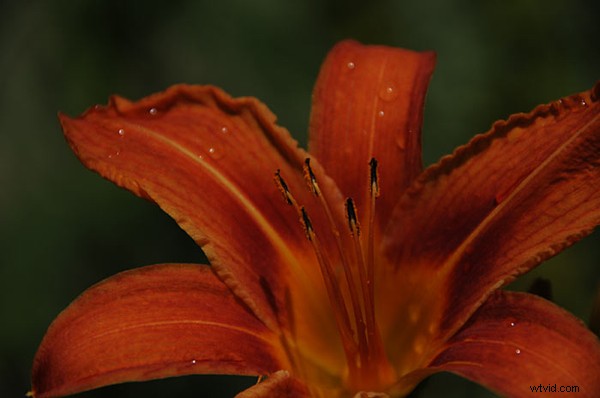 Mastering EV Compensation: Pro Tips from Yanik Chauvin of Image-Y