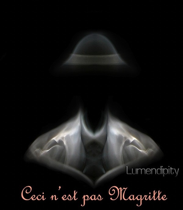 Discover Smoke Art Photography: A Captivating Introduction by Stoffel De Roover