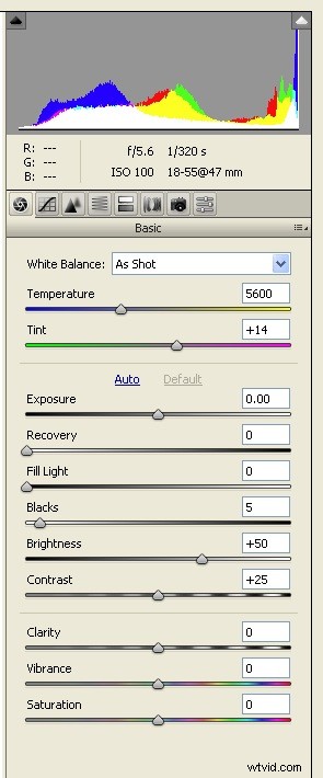 Unlock Creative Power: Advanced RAW Editing in Adobe Camera Raw