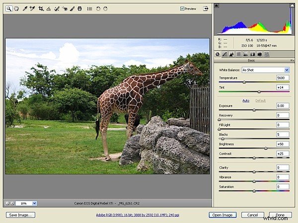 Unlock Creative Power: Advanced RAW Editing in Adobe Camera Raw