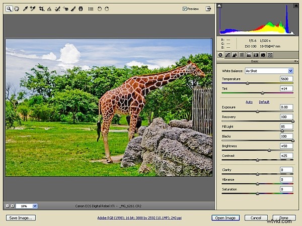 Unlock Creative Power: Advanced RAW Editing in Adobe Camera Raw