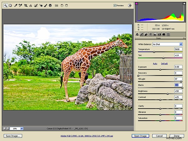 Unlock Creative Power: Advanced RAW Editing in Adobe Camera Raw