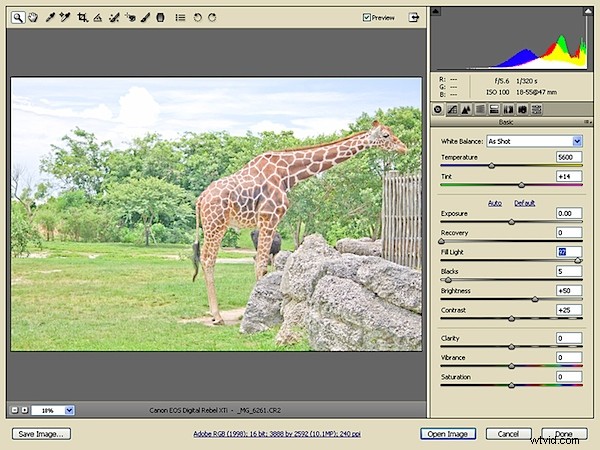 Unlock Creative Power: Advanced RAW Editing in Adobe Camera Raw