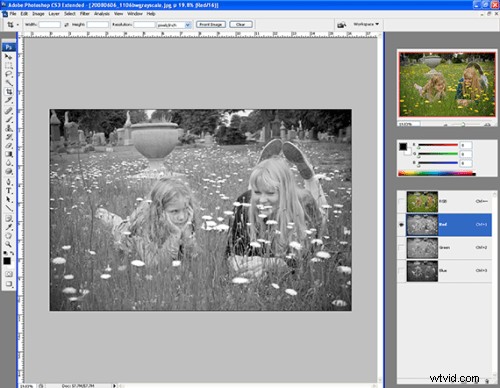 Master Stunning Black & White Images: Convert a Single RGB Channel Like a Pro