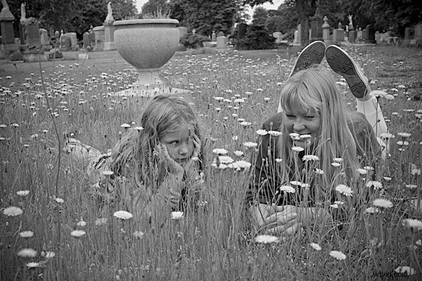 Master Stunning Black & White Images: Convert a Single RGB Channel Like a Pro