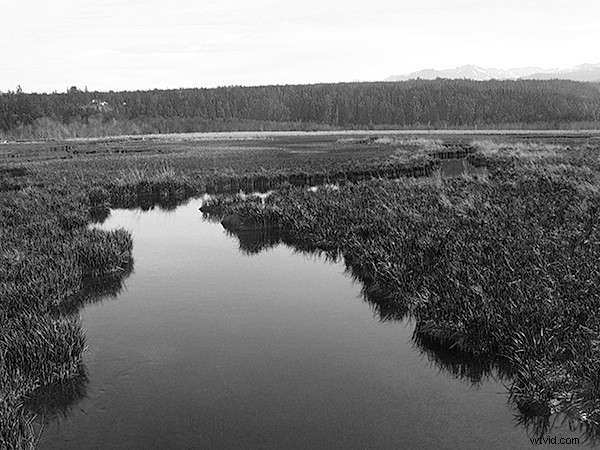 Master Stunning Black & White Images: Convert a Single RGB Channel Like a Pro