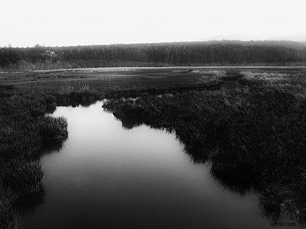 Master Stunning Black & White Images: Convert a Single RGB Channel Like a Pro