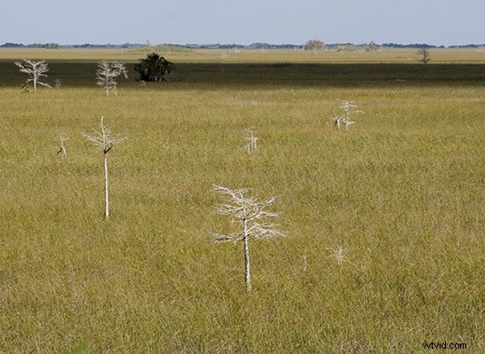 Master Stunning Black & White Images: Convert a Single RGB Channel Like a Pro