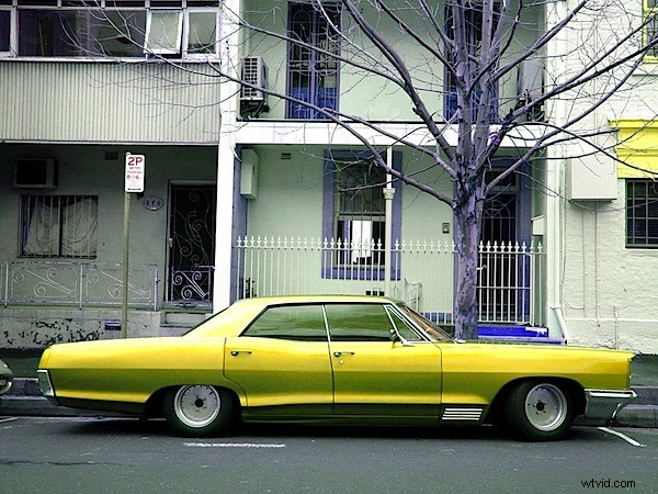 Elevate Your Shots: Mastering Vibrant Colors in Digital Photography